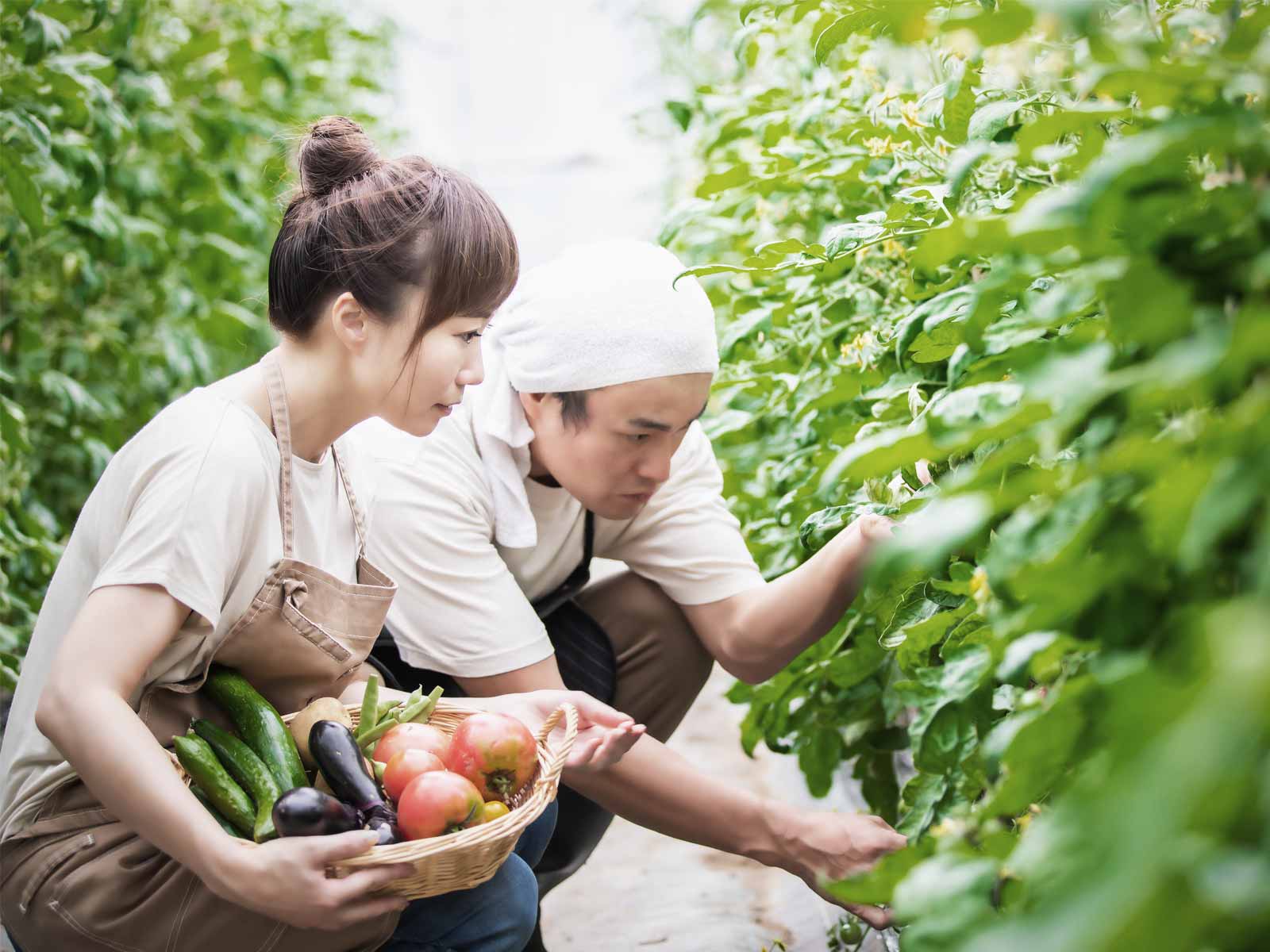 どうする？半農半Xの確定申告～農業の働き方改革～